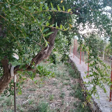 La Veranda Sul Golfo Orman Evi Monte SantʼAngelo